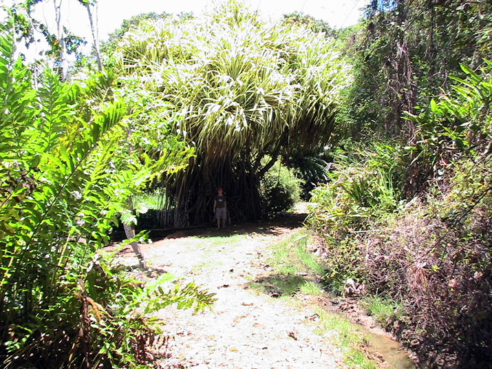 28 - Jardin des eaux 032.jpg